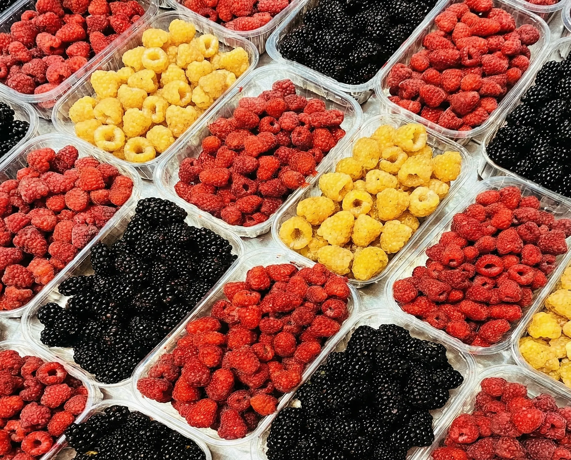 Agriculture locale - producteurs et filière alimentaire