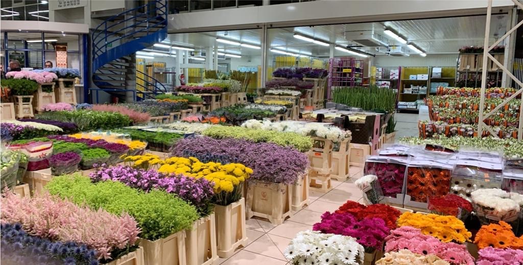 Fleurs Marché de Rungis