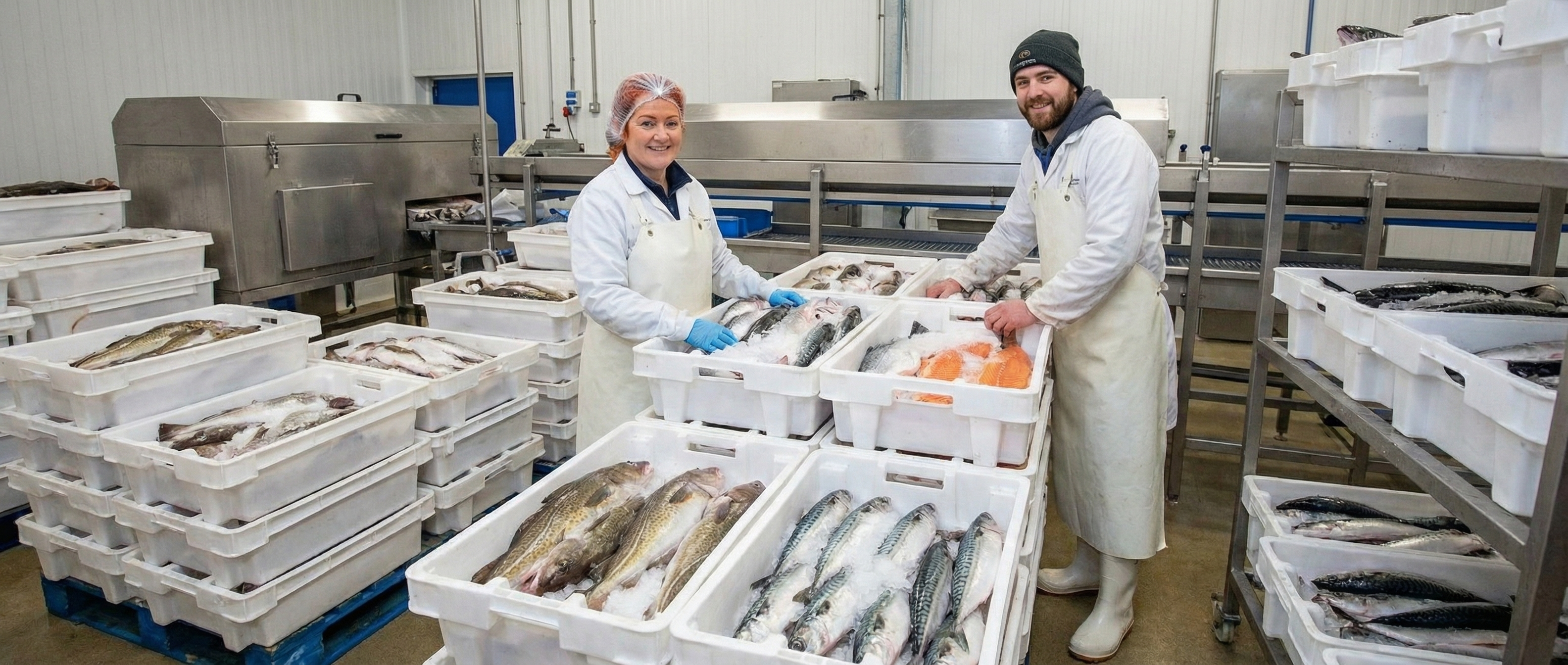 Produits de la mer Marché de Rungis